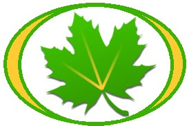 Greenify v3.9.1 Donate APK Free Obtain