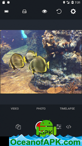 Yi Professional – Yi Motion Digicam v3.0.1 APK Free Obtain