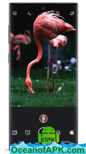 Z Camera - Photo Editor, Beauty Selfie, Collage v4.45 build 226 [Vip] APK Free Download